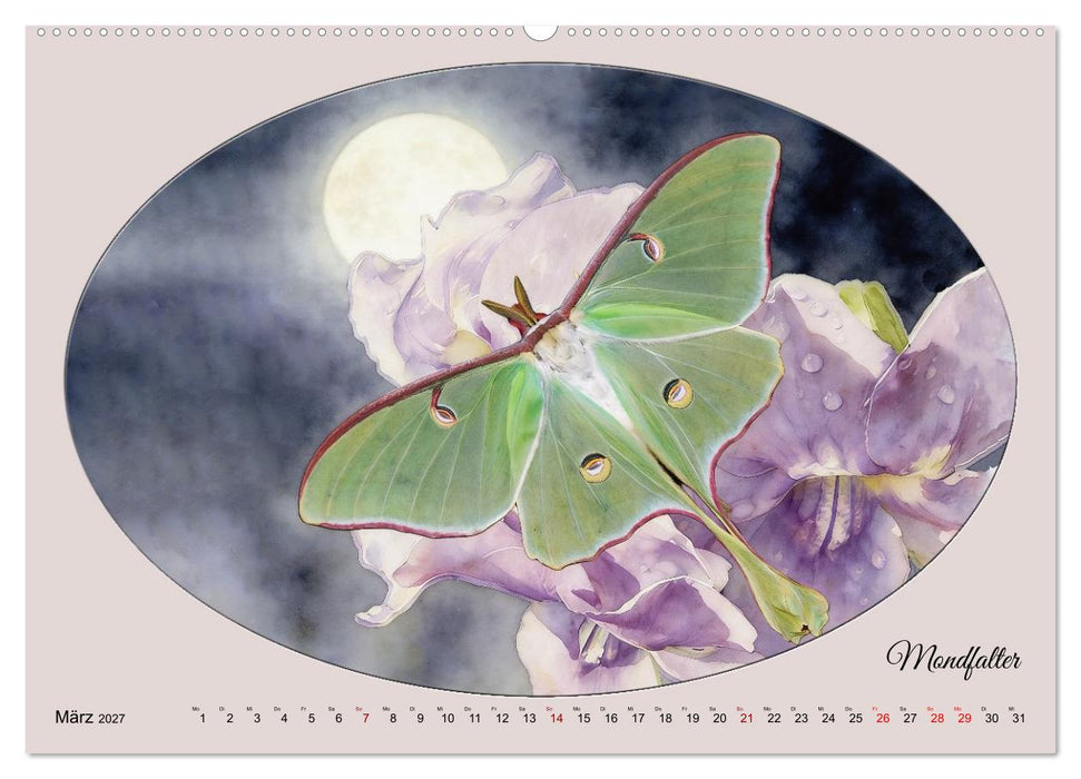 Gaukler der Nacht - Schillernde Nachtfalter (CALVENDO Premium Wandkalender 2027)