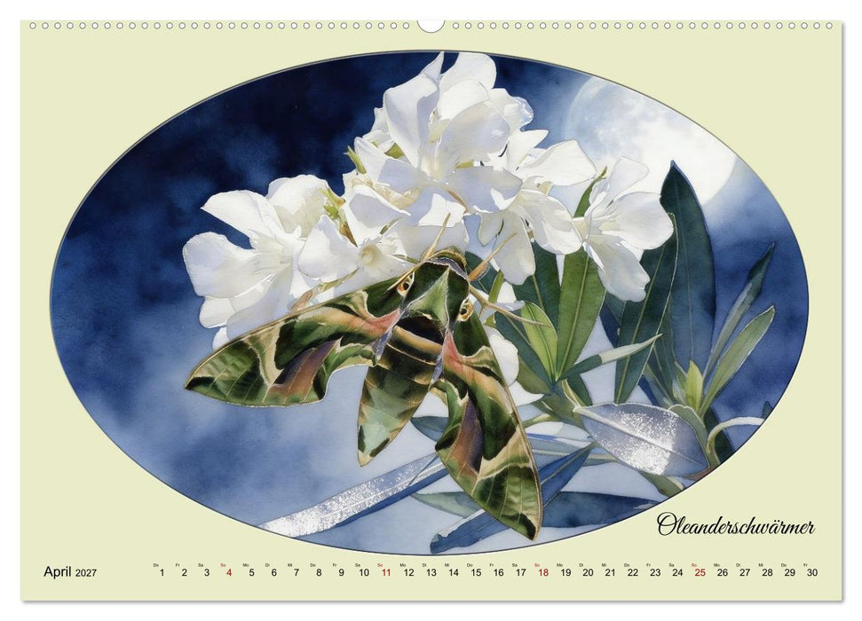 Gaukler der Nacht - Schillernde Nachtfalter (CALVENDO Premium Wandkalender 2027)