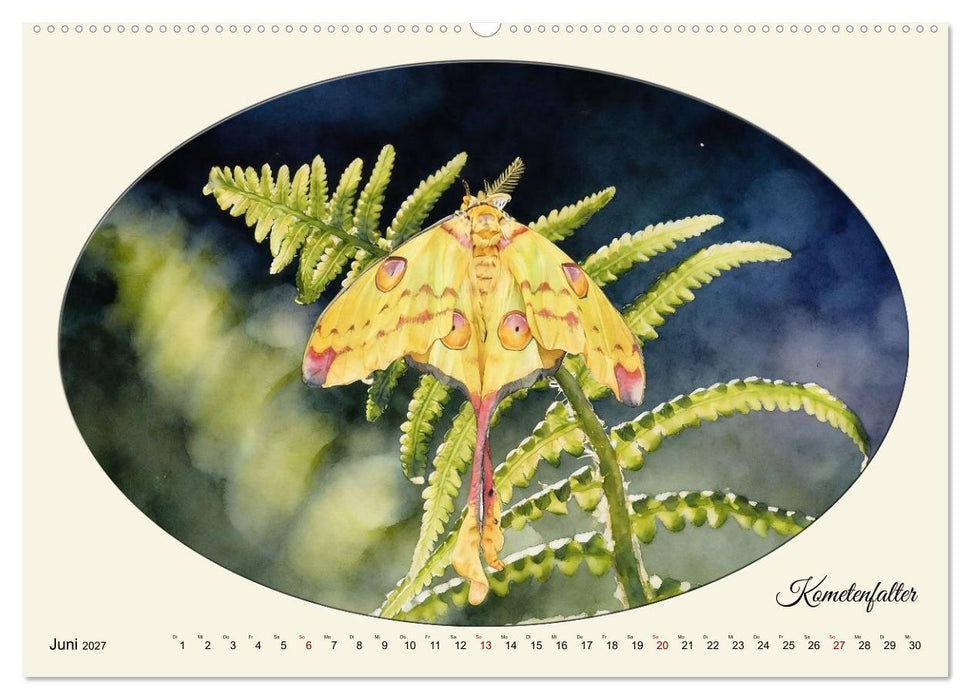 Gaukler der Nacht - Schillernde Nachtfalter (CALVENDO Premium Wandkalender 2027)