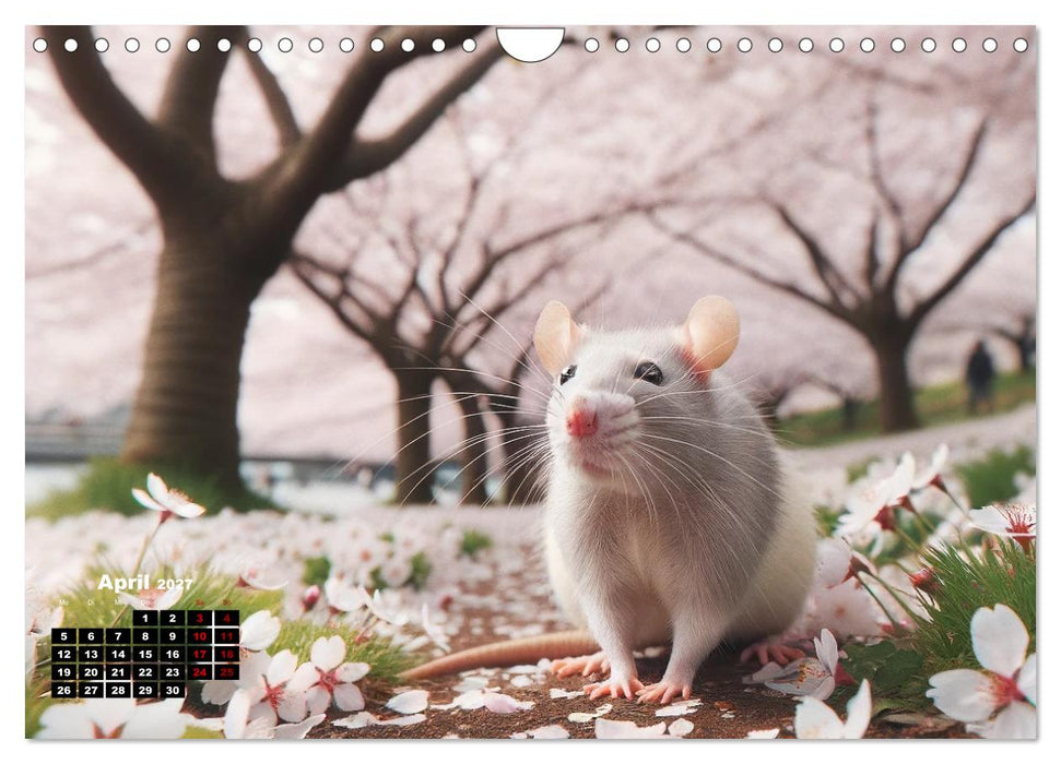 Lustige Ratten (CALVENDO Wandkalender 2027)