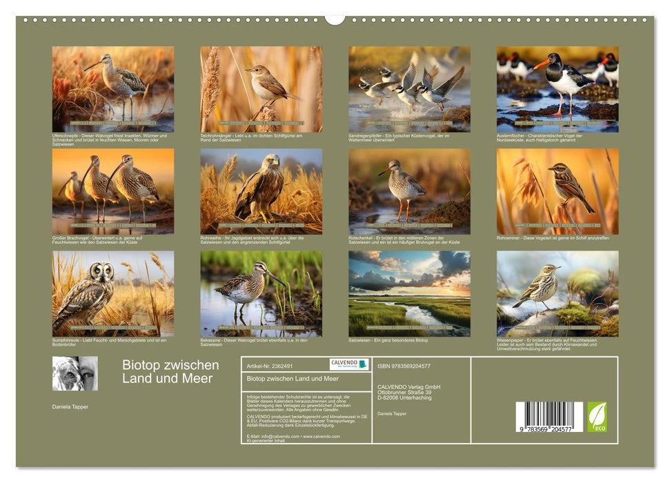 Biotop zwischen Land und Meer (CALVENDO Premium Wandkalender 2027)