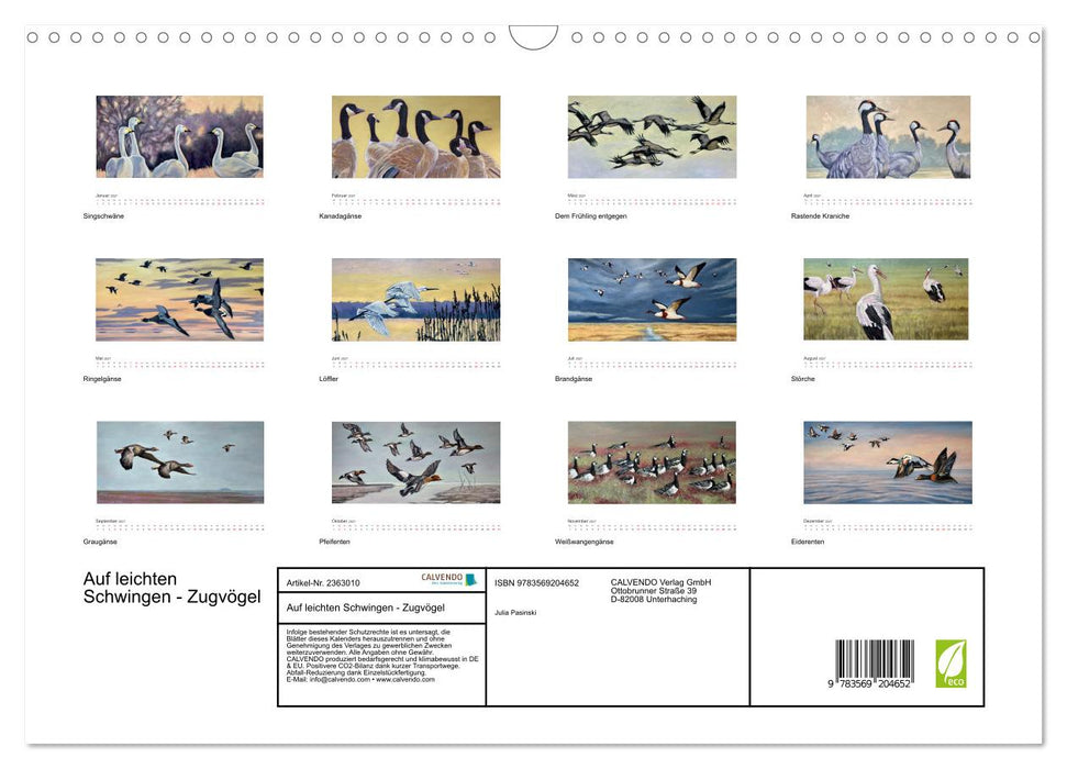 Auf leichten Schwingen - Zugvögel (CALVENDO Wandkalender 2027)