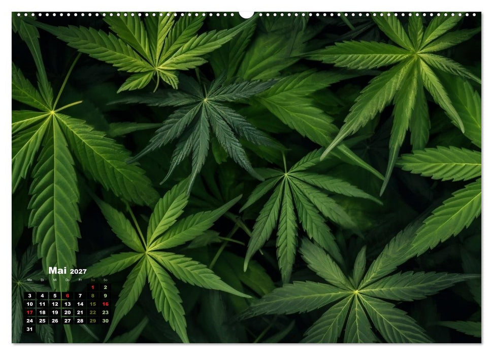Abstrakte Natur (CALVENDO Wandkalender 2027)