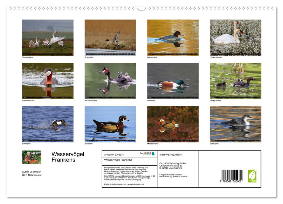 Wasservögel Frankens (CALVENDO Premium Wandkalender 2027)