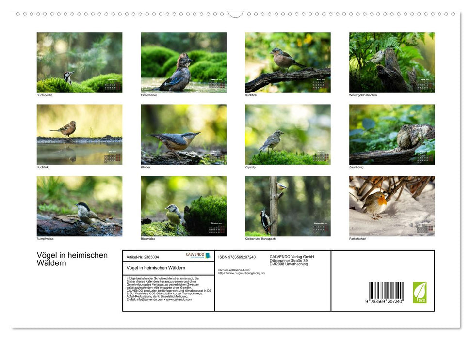 Vögel in heimischen Wäldern (CALVENDO Premium Wandkalender 2027)