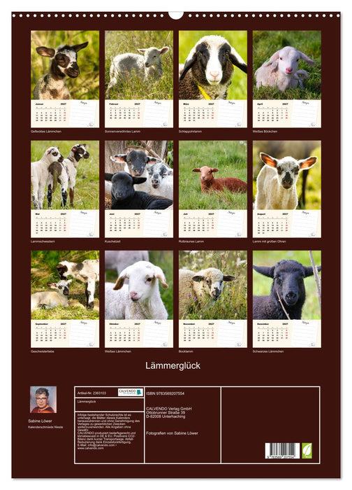 Lämmerglück (CALVENDO Wandkalender 2027)