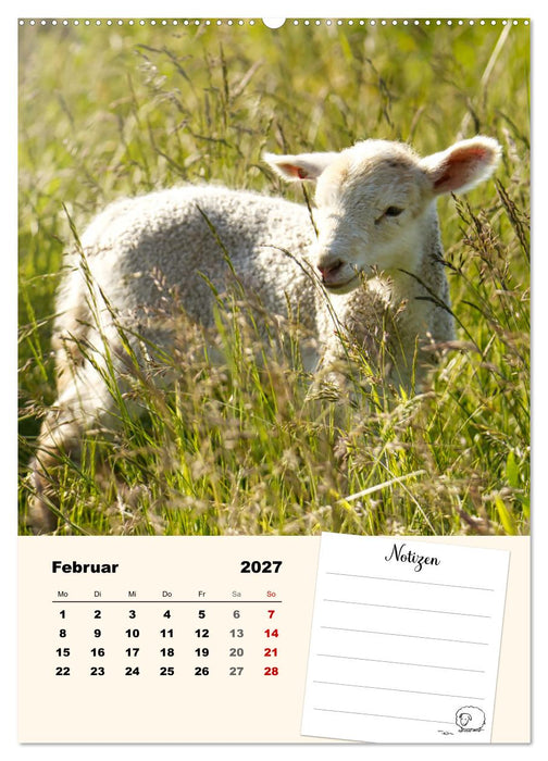 Lämmerglück (CALVENDO Wandkalender 2027)