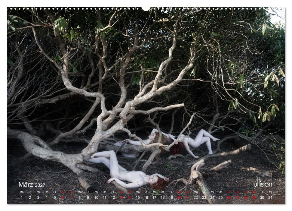 Poesie der Stille – Akt in der Natur (CALVENDO Premium Wandkalender 2027)