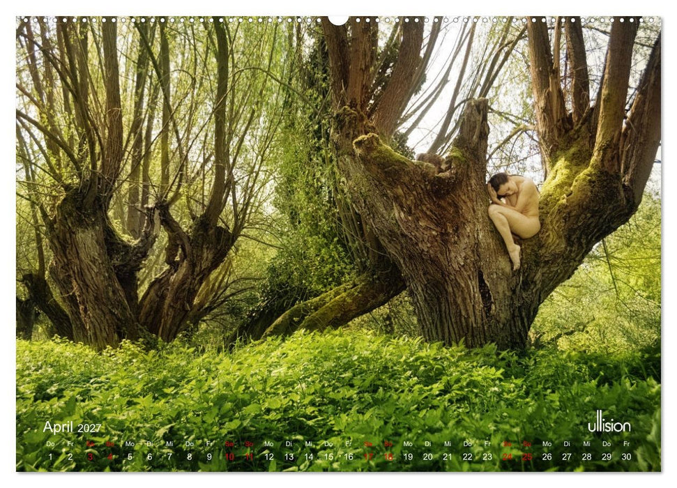 Poesie der Stille – Akt in der Natur (CALVENDO Premium Wandkalender 2027)