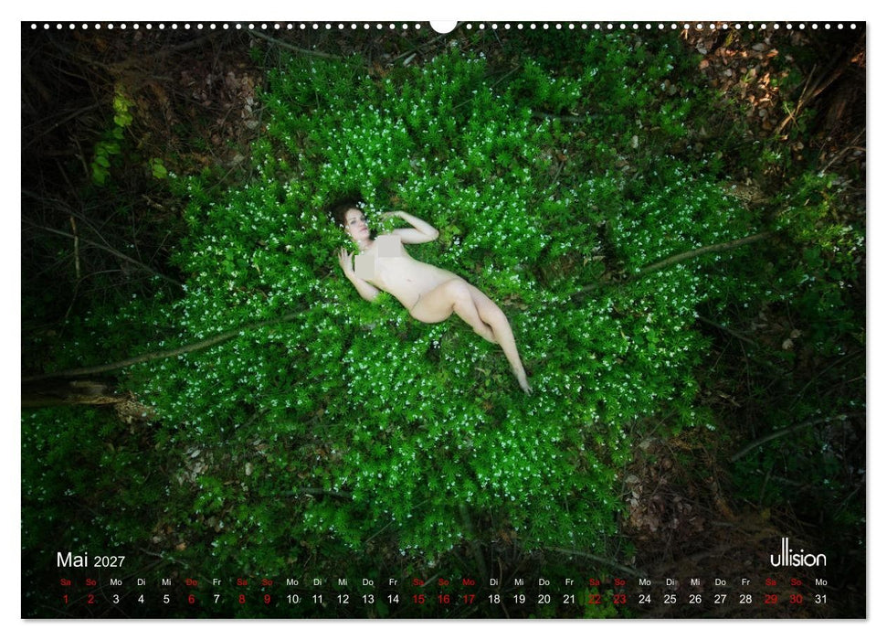 Poesie der Stille – Akt in der Natur (CALVENDO Premium Wandkalender 2027)