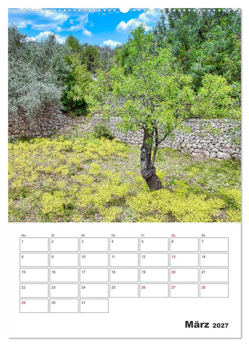 Mallorca - Traumhafte Insel auf der Sonnenseite (CALVENDO Premium Wandkalender 2027)