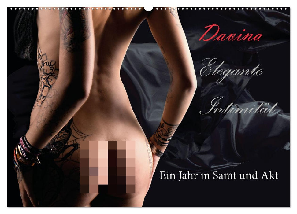 Elegante Intimität (CALVENDO Wandkalender 2027)