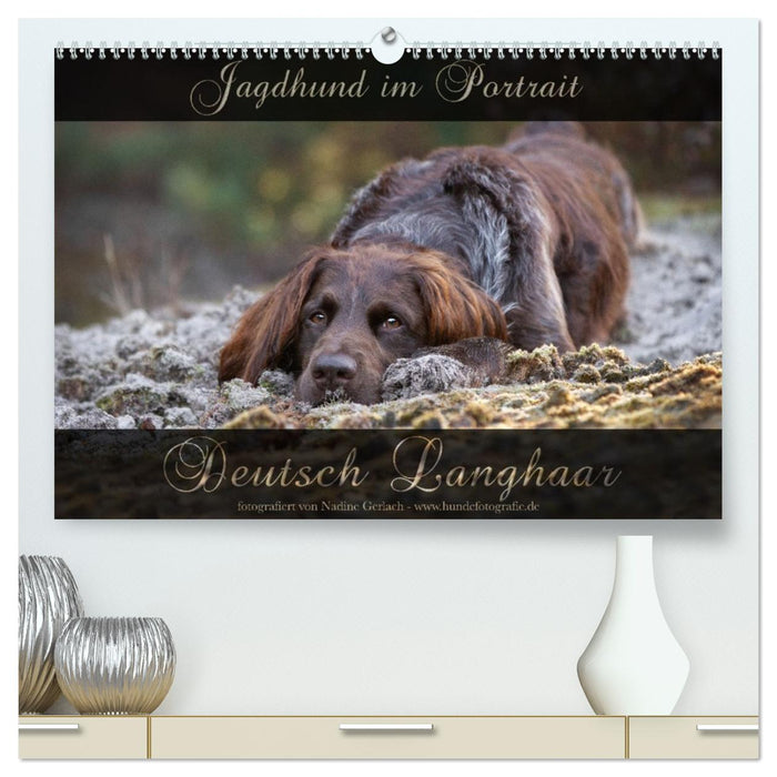 Jagdhund im Portrait - Deutsch Langhaar (CALVENDO Premium Wandkalender 2027)