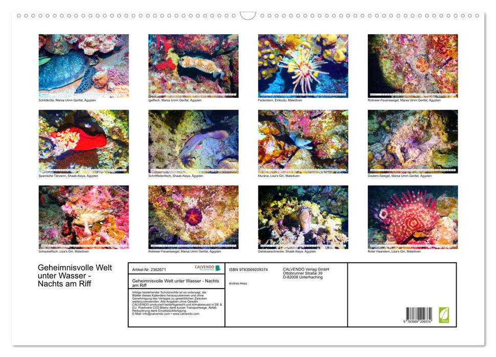 Geheimnisvolle Welt unter Wasser - Nachts am Riff (CALVENDO Wandkalender 2027)