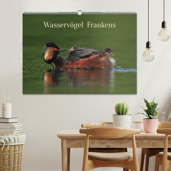 Wasservögel Frankens (CALVENDO Wandkalender 2027)
