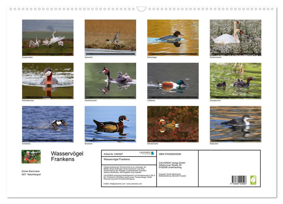Wasservögel Frankens (CALVENDO Wandkalender 2027)