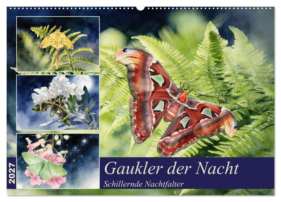 Gaukler der Nacht - Schillernde Nachtfalter (CALVENDO Wandkalender 2027)