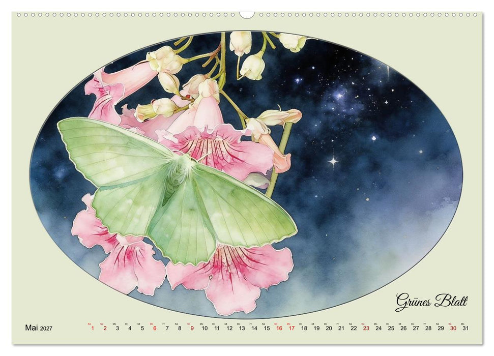Gaukler der Nacht - Schillernde Nachtfalter (CALVENDO Wandkalender 2027)