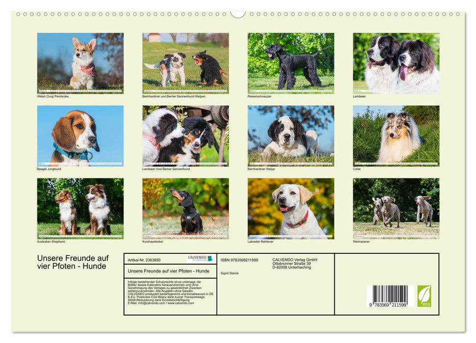 Unsere Freunde auf vier Pfoten - Hunde (CALVENDO Premium Wandkalender 2027)