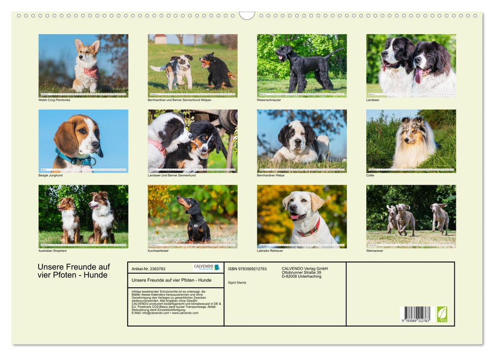 Unsere Freunde auf vier Pfoten - Hunde (CALVENDO Wandkalender 2027)