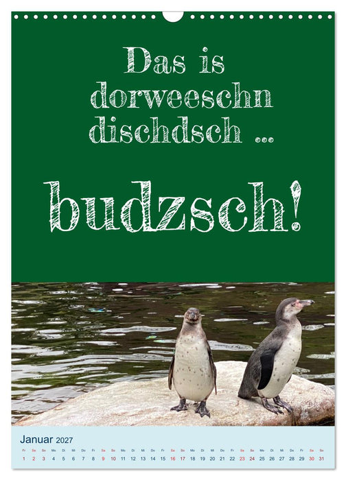 Ni schwäbborn! Mundart und Dialekt Kalender Sachsen (CALVENDO Wandkalender 2027)