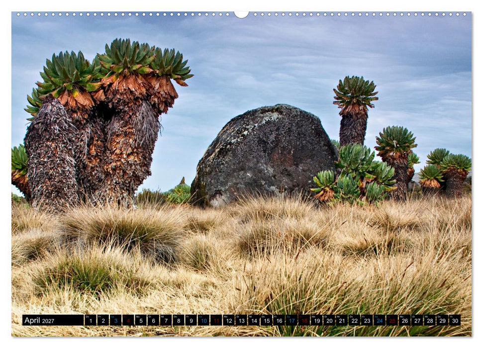 Kilimanjaro - das Dach Afrikas (CALVENDO Wandkalender 2027)