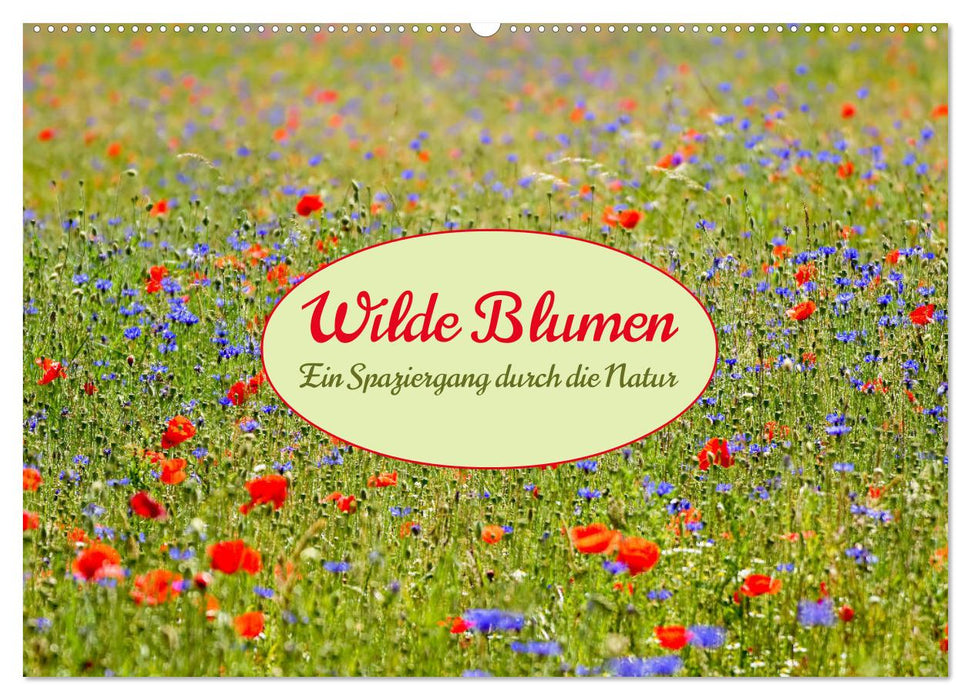 Wilde Blumen - ein Spaziergang durch die Natur (CALVENDO Wandkalender 2027)