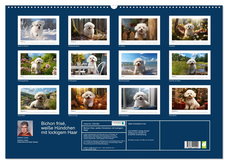 Bichon frisé, weiße Hündchen mit lockigem Haar (CALVENDO Wandkalender 2027)