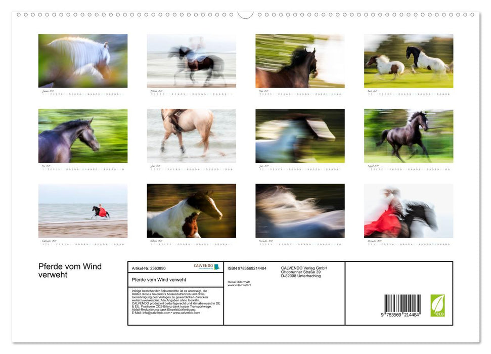 Pferde vom Wind verweht (CALVENDO Premium Wandkalender 2027)
