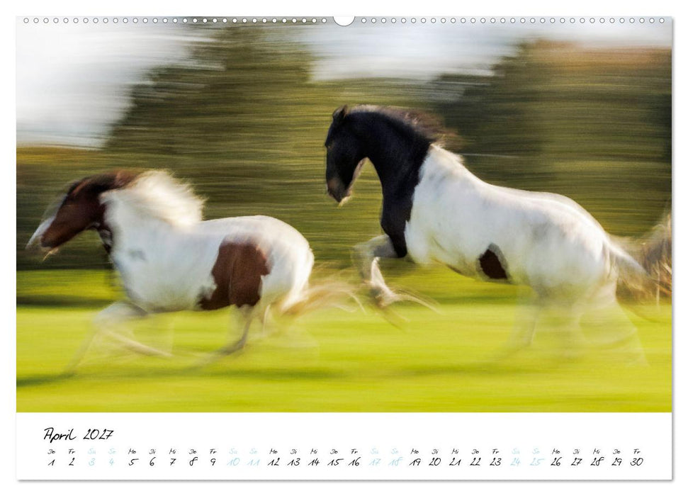 Pferde vom Wind verweht (CALVENDO Premium Wandkalender 2027)