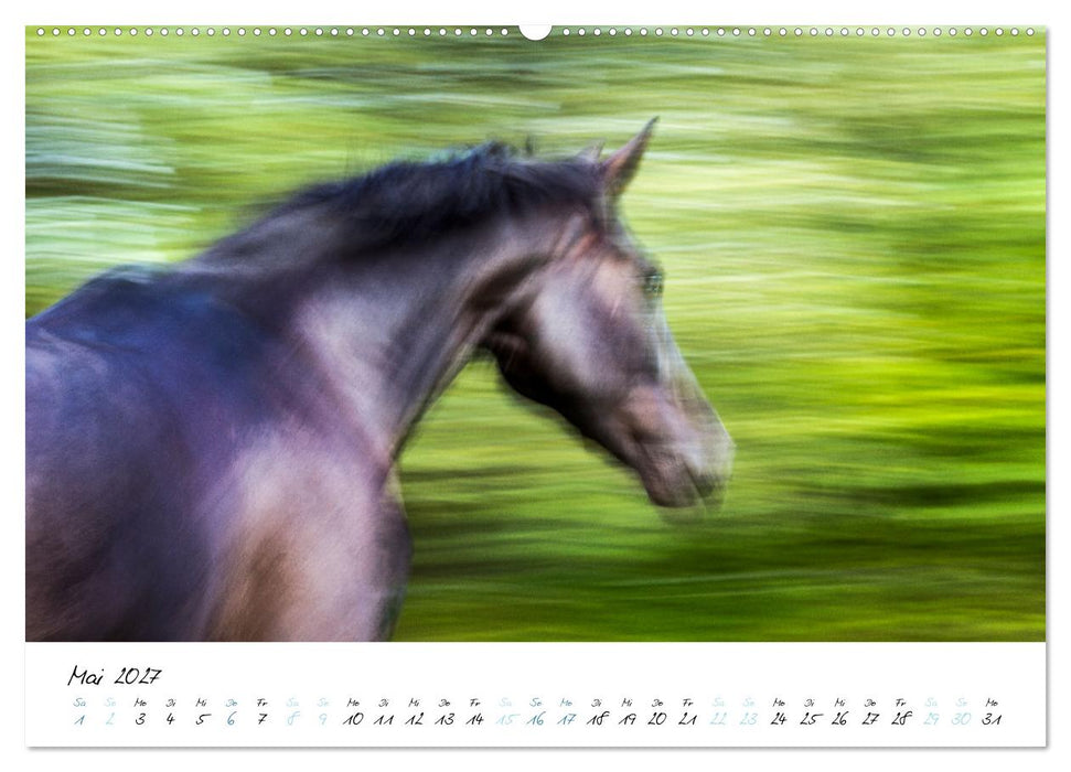 Pferde vom Wind verweht (CALVENDO Premium Wandkalender 2027)
