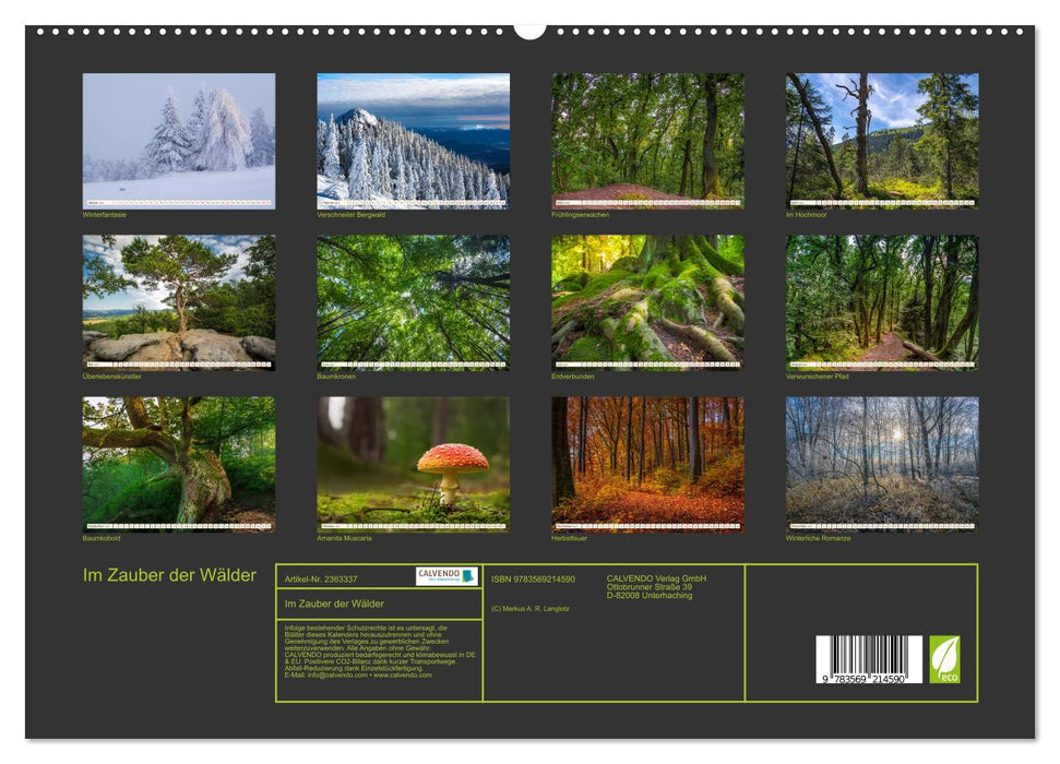 Im Zauber der Wälder (CALVENDO Premium Wandkalender 2027)