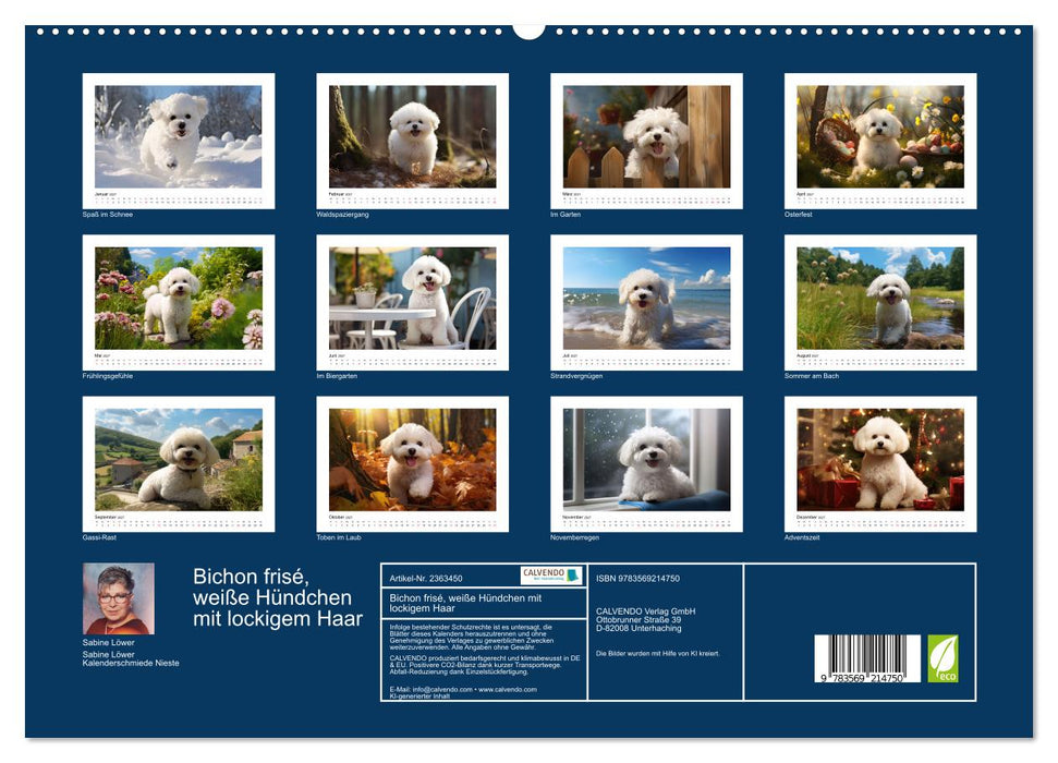 Bichon frisé, weiße Hündchen mit lockigem Haar (CALVENDO Premium Wandkalender 2027)