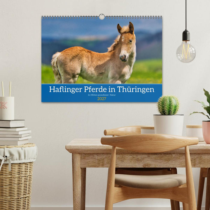Haflinger Pferde in Thüringen (CALVENDO Wandkalender 2027)