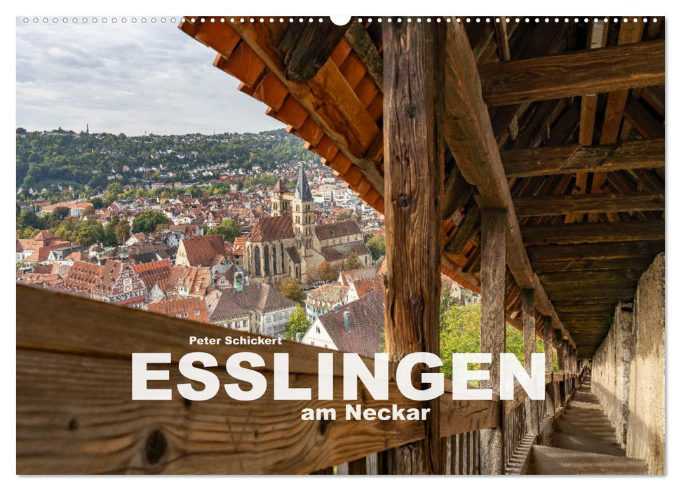 Esslingen am Neckar (CALVENDO Wandkalender 2027)
