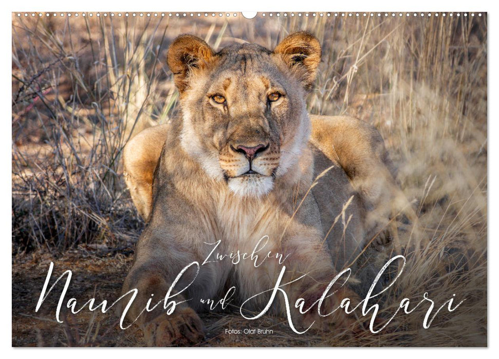Zwischen Namib und Kalahari (CALVENDO Wandkalender 2027)