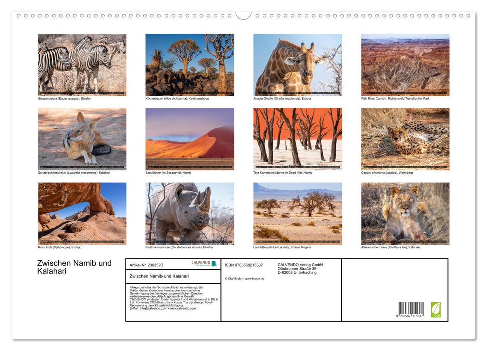 Zwischen Namib und Kalahari (CALVENDO Wandkalender 2027)