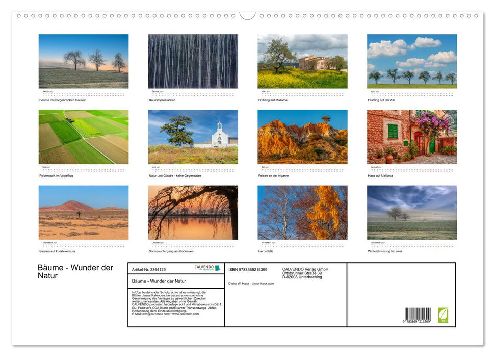 Bäume - Wunder der Natur (CALVENDO Wandkalender 2027)