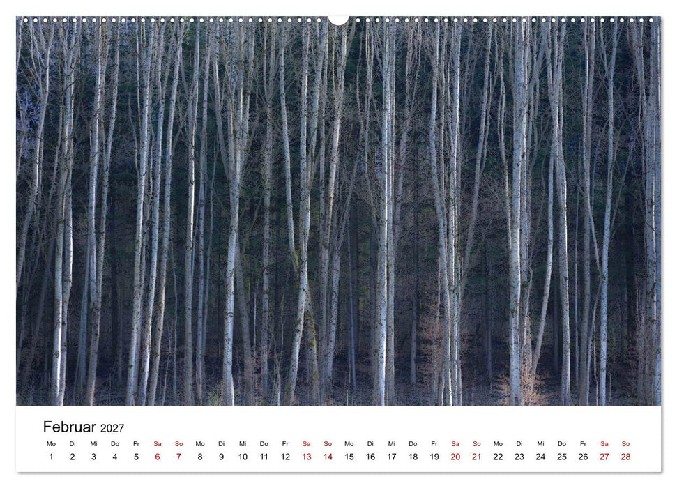 Bäume - Wunder der Natur (CALVENDO Wandkalender 2027)