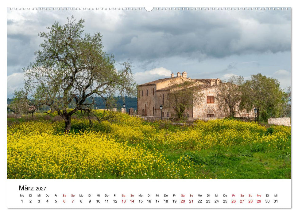 Bäume - Wunder der Natur (CALVENDO Wandkalender 2027)