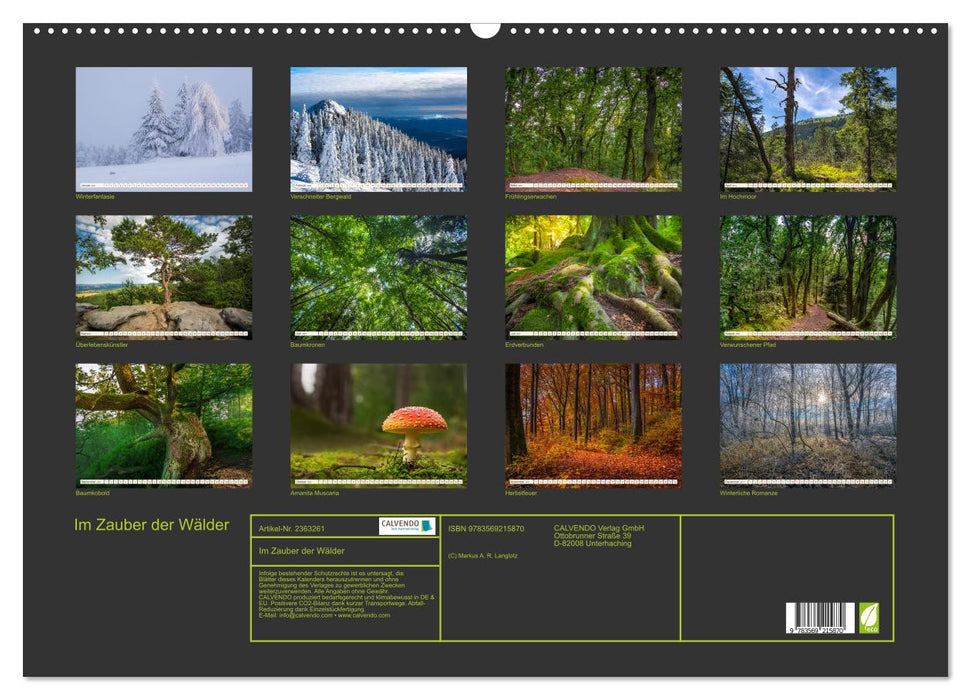 Im Zauber der Wälder (CALVENDO Wandkalender 2027)