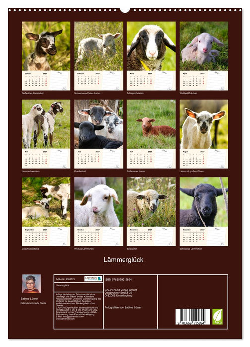 Lämmerglück (CALVENDO Premium Wandkalender 2027)