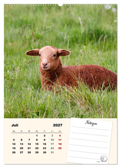 Lämmerglück (CALVENDO Premium Wandkalender 2027)