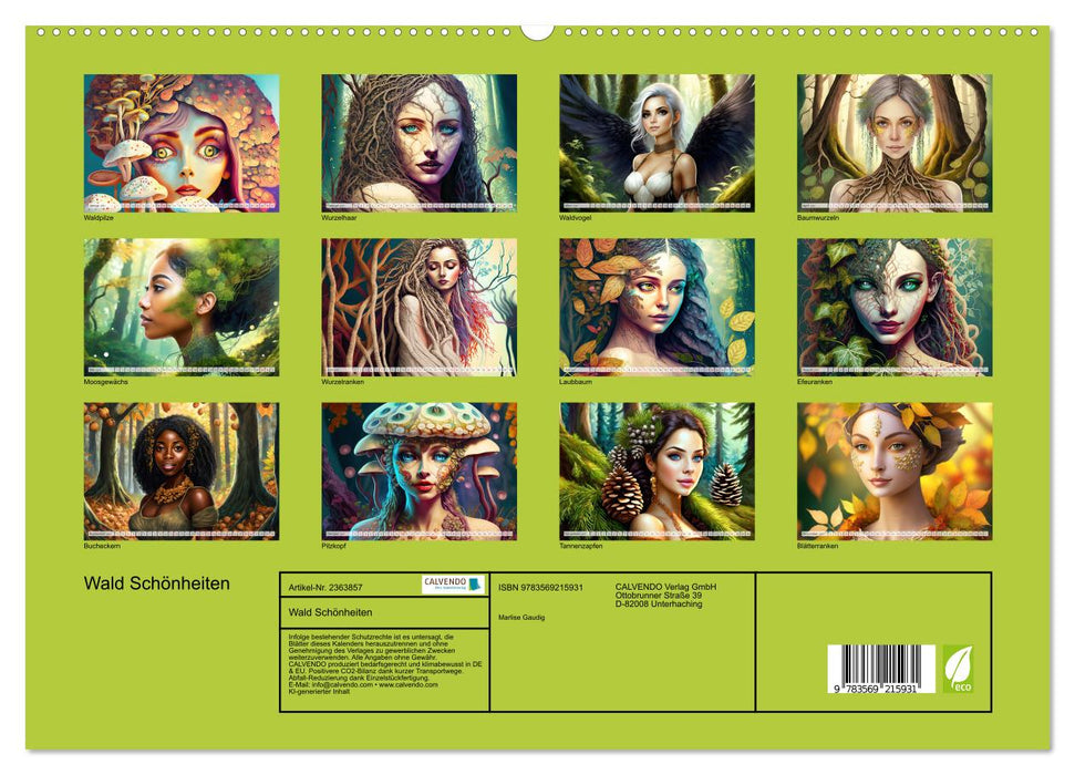Wald Schönheiten (CALVENDO Premium Wandkalender 2027)