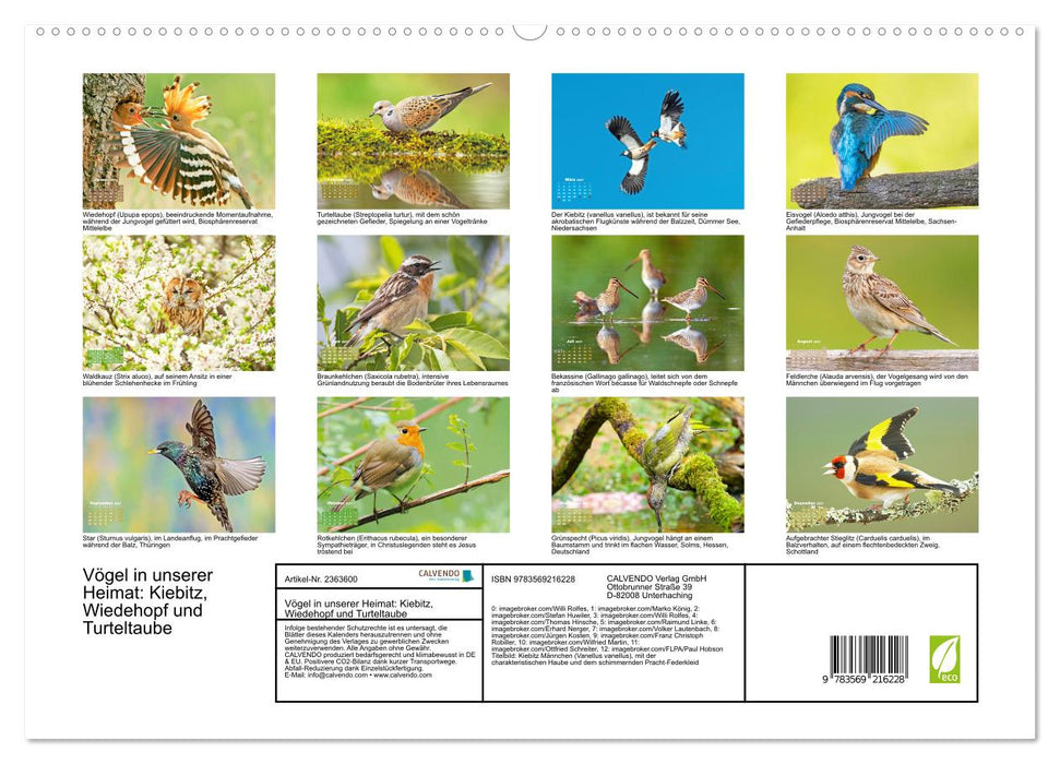 Vögel in unserer Heimat: Kiebitz, Wiedehopf und Turteltaube (CALVENDO Premium Wandkalender 2027)