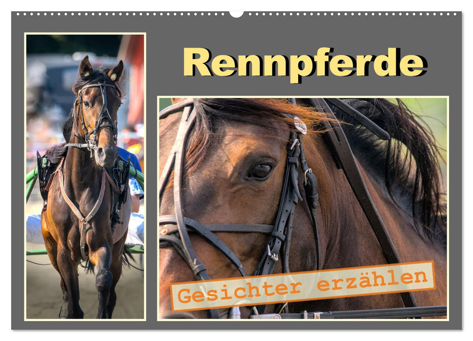 Rennpferde - Gesichter erzählen (CALVENDO Wandkalender 2027)