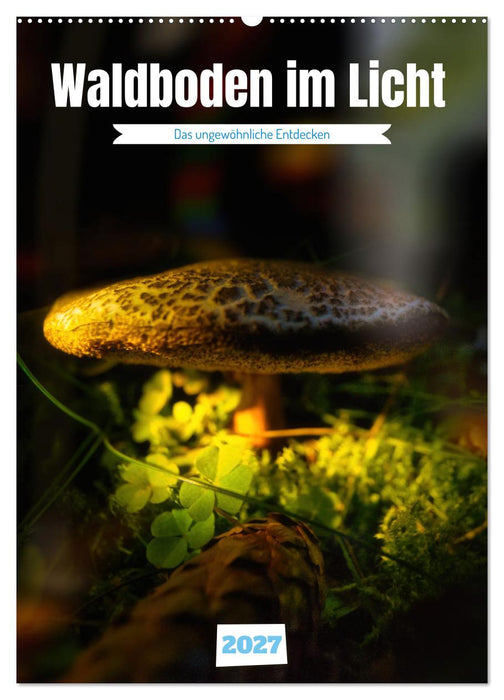 Waldboden im Licht (CALVENDO Wandkalender 2027)