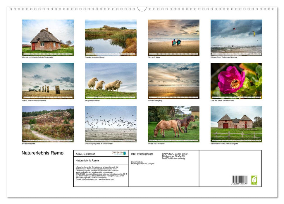 Naturerlebnis Rømø (CALVENDO Wandkalender 2027)