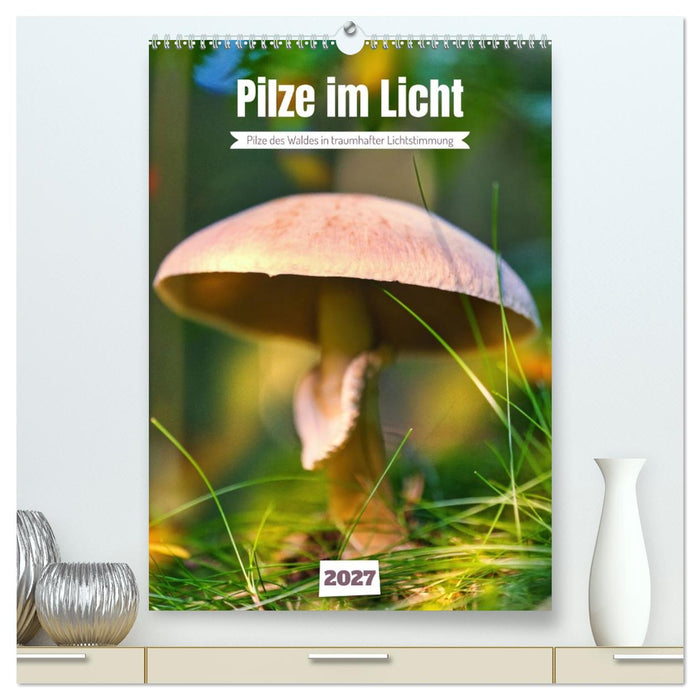 Pilze im Licht (CALVENDO Premium Wandkalender 2027)