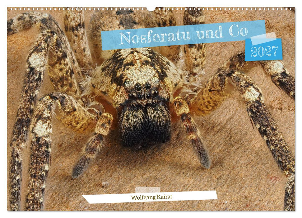 Nosferatu und Co. (CALVENDO Wandkalender 2027)